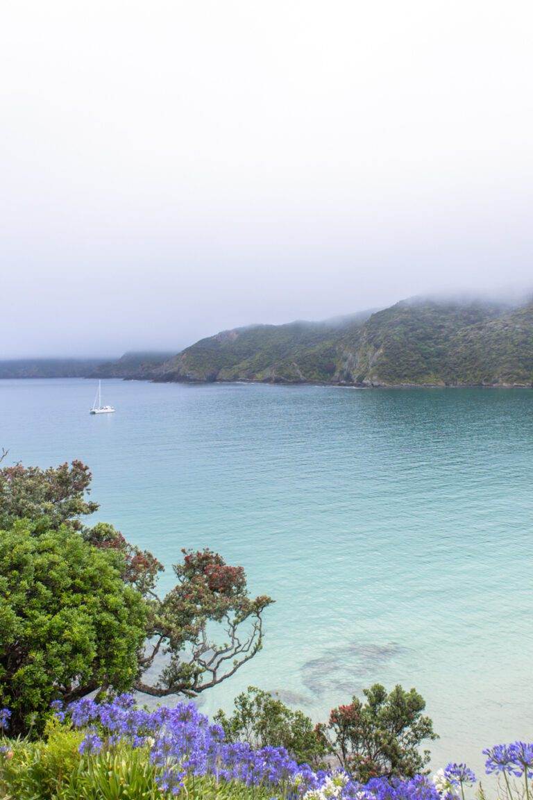 Start of the Cape Brett hike