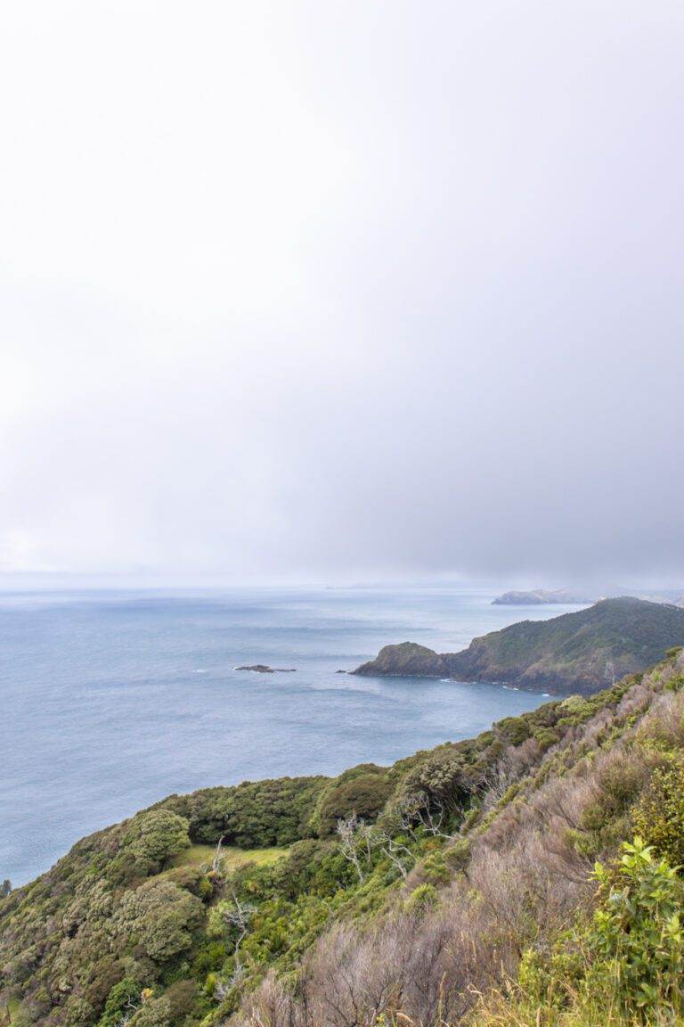 Cape Brett lookout northland hikes