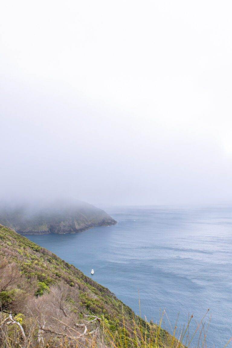 Views from Cape Brett trail