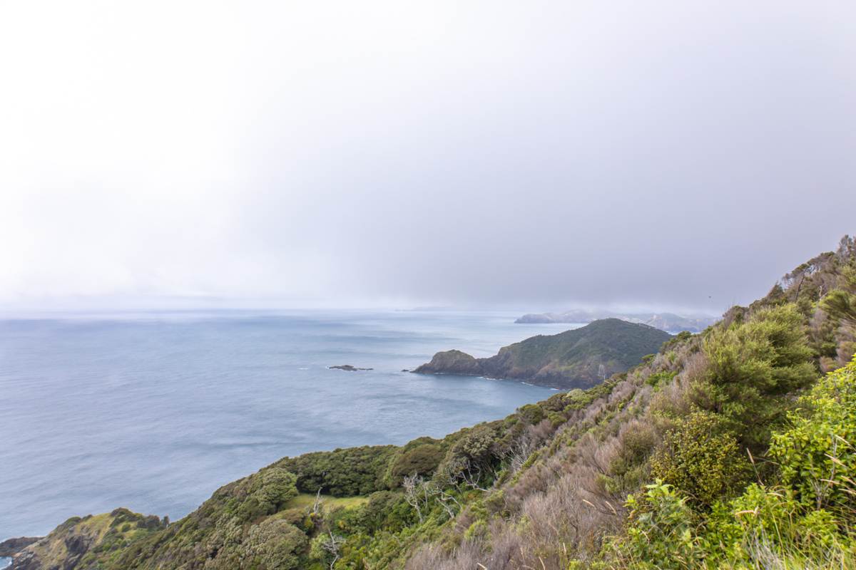 Landscape of Bay of Islands