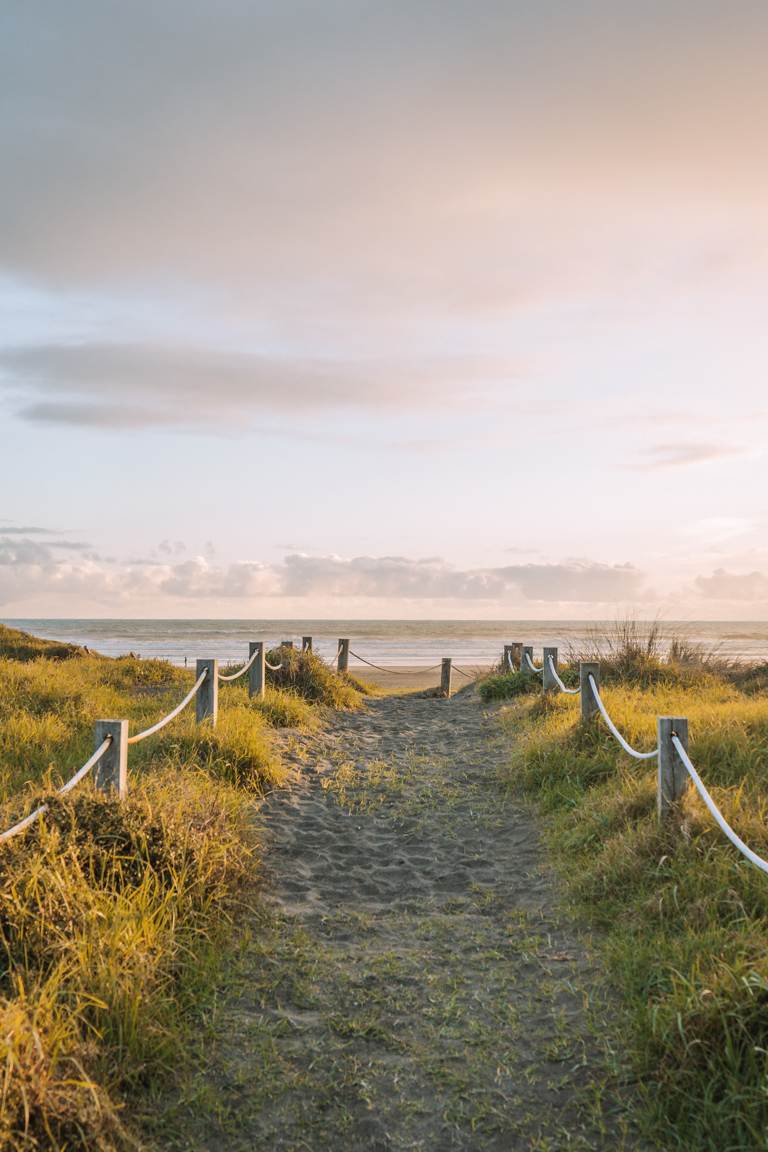 Auckland West Coast lookout across Piha beach