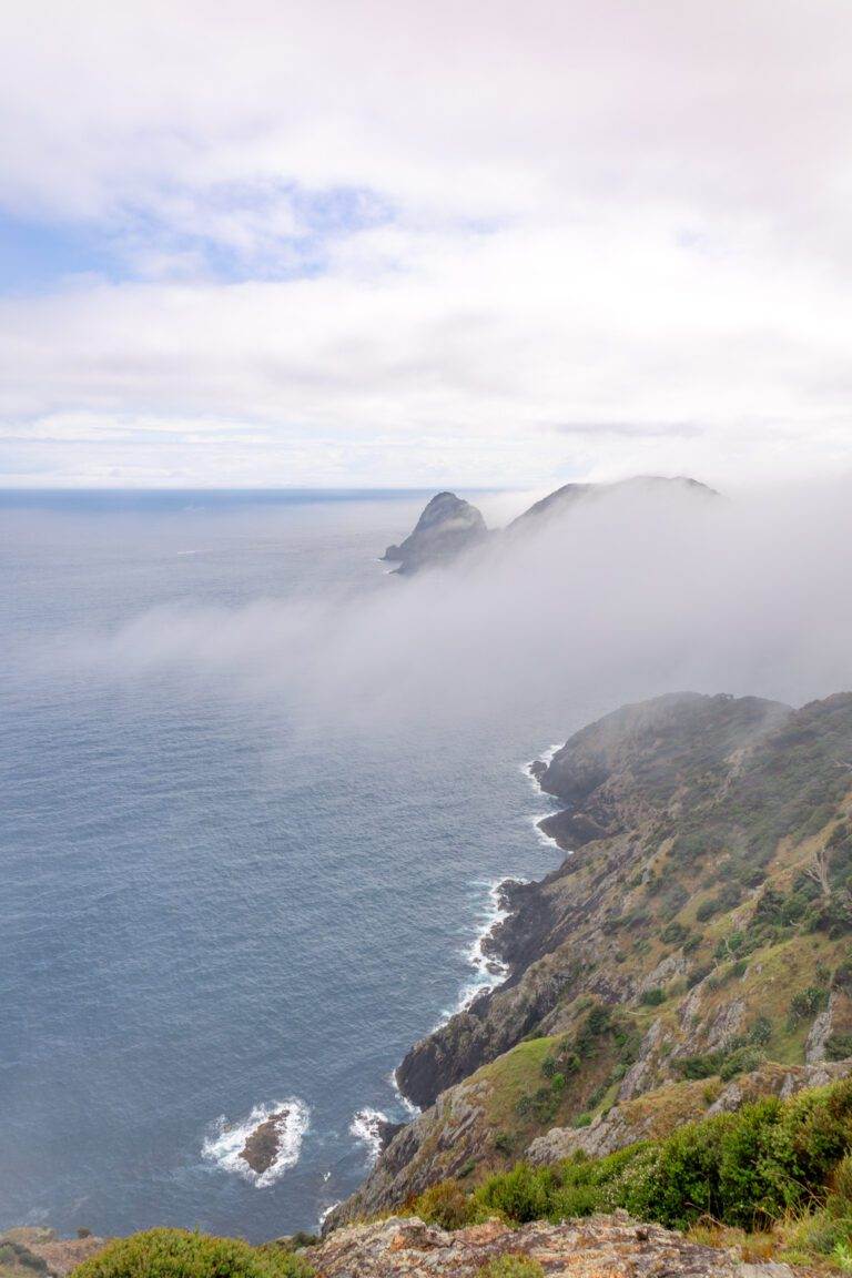 View from hiking Cape Brett hike