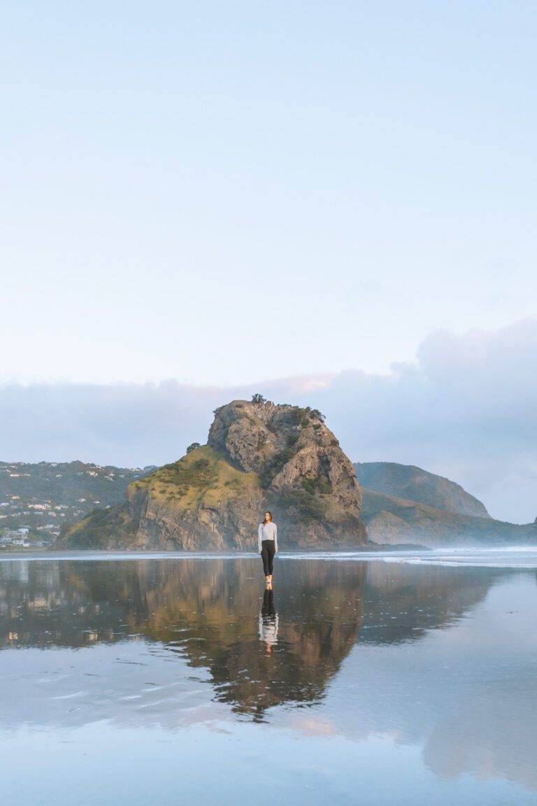 Piha beach in West Coast Auckland New Zealand landscape photos