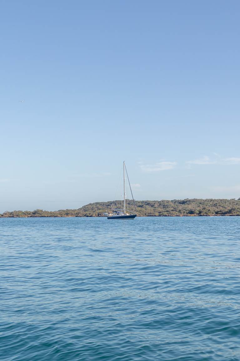 boat out on the Waitemata Harbour New Zealand