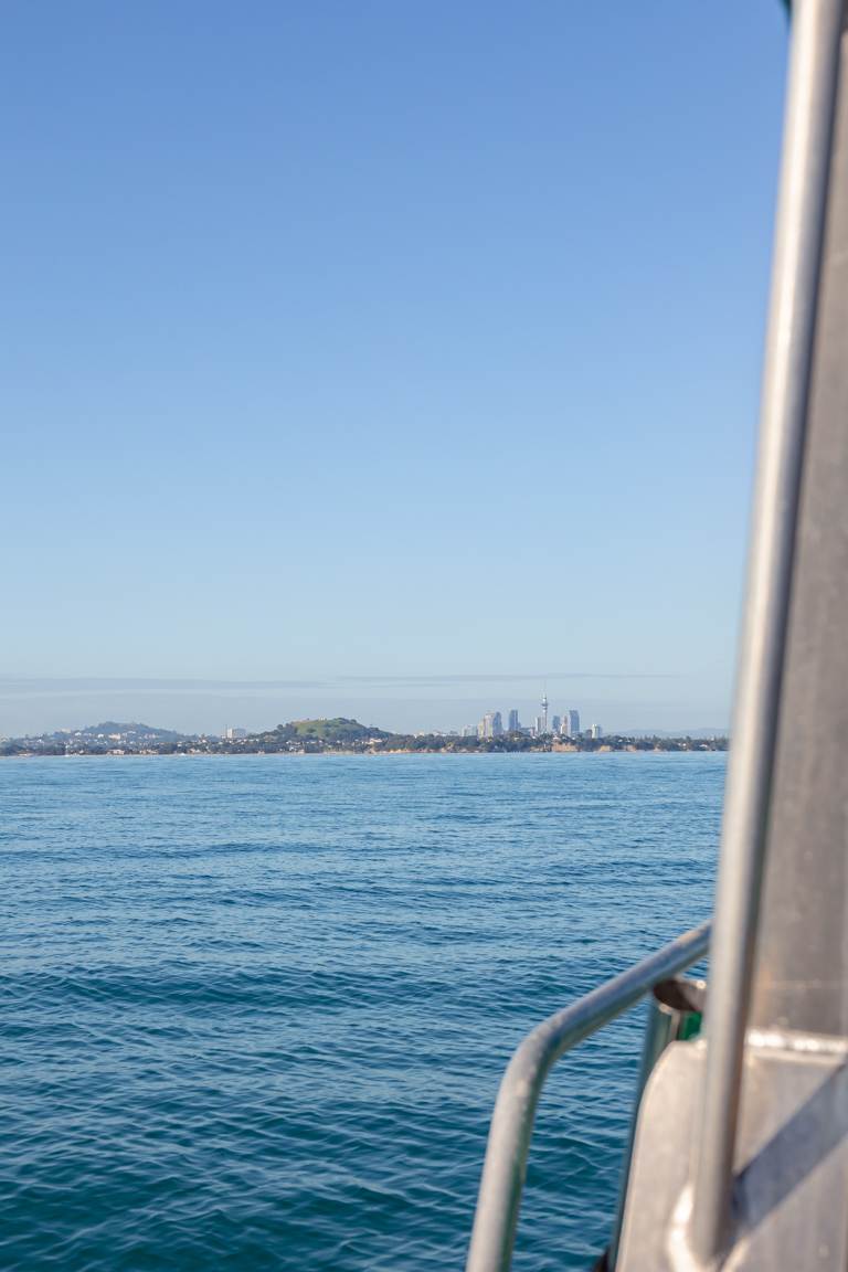 why travel Auckland New Zealand lookout from Waitemata Harbour