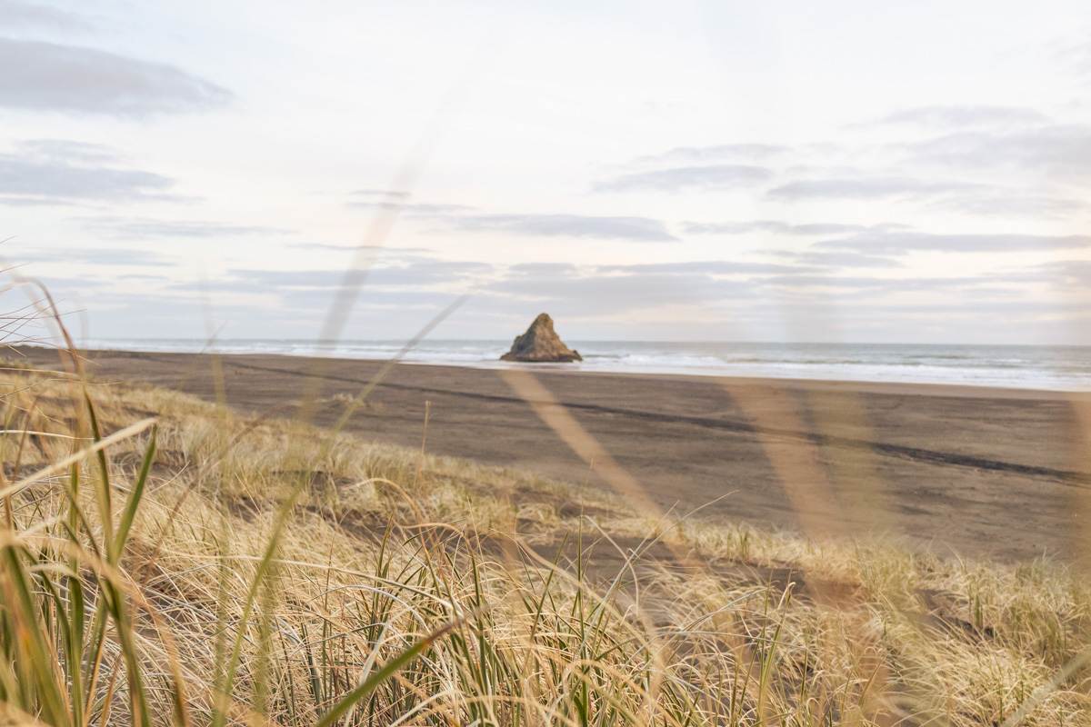 landscape from karekare beach dunes