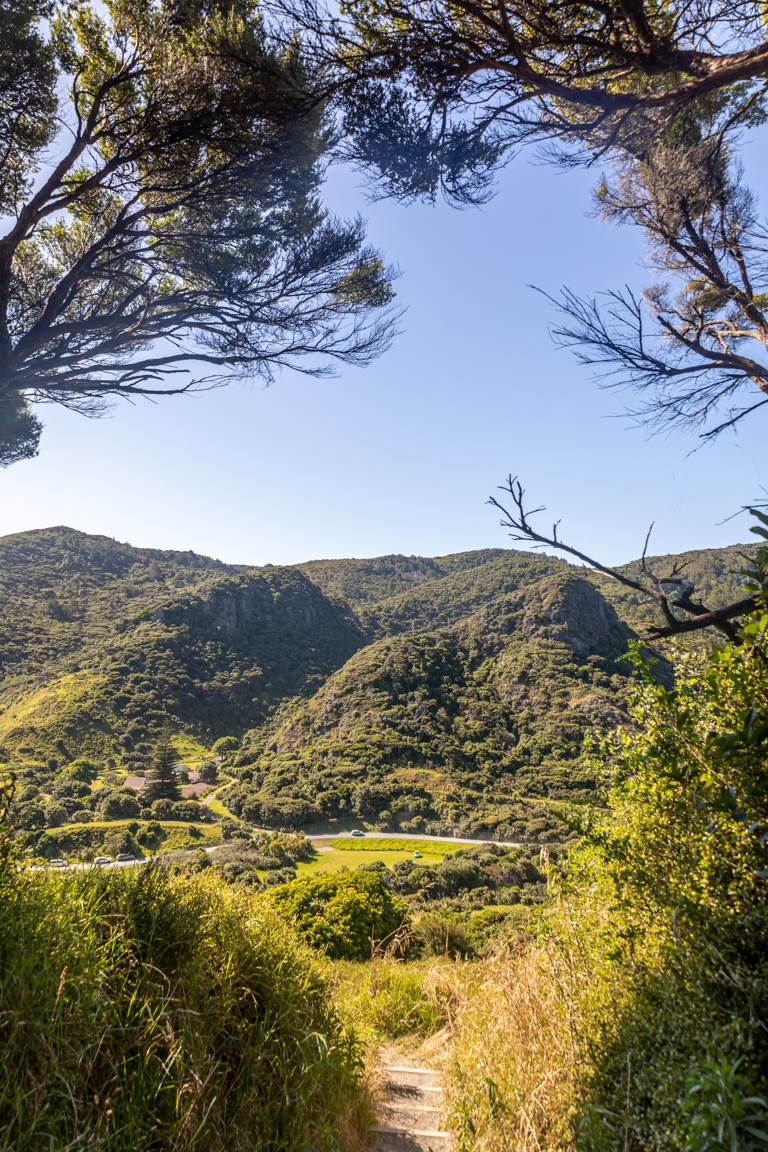 road into Whatipū from Omanawanui