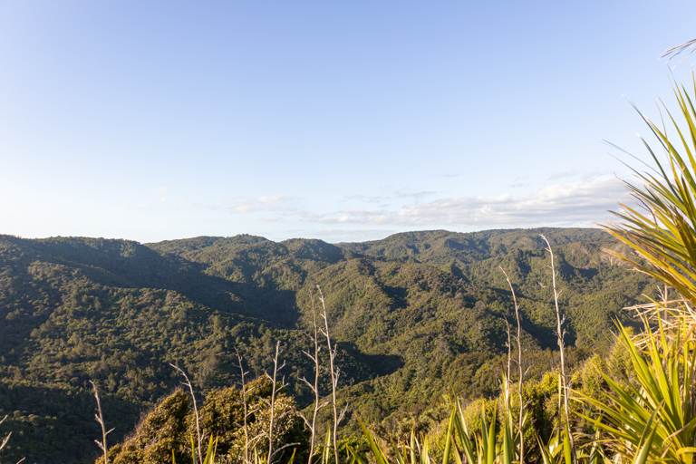 landscape of Waitākere Ranges from Omanawanui track