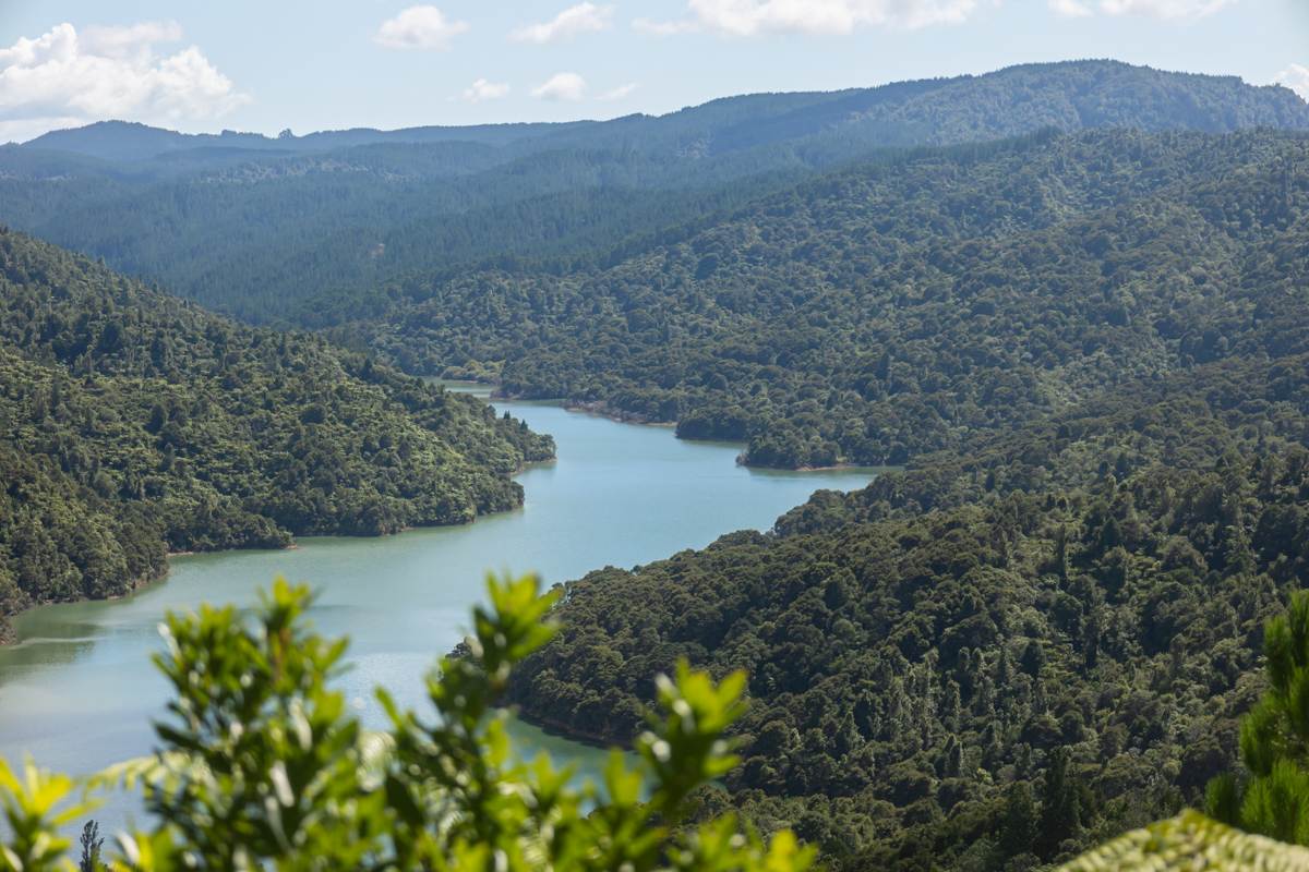 Auckland lookout over Wairoa Reservoir