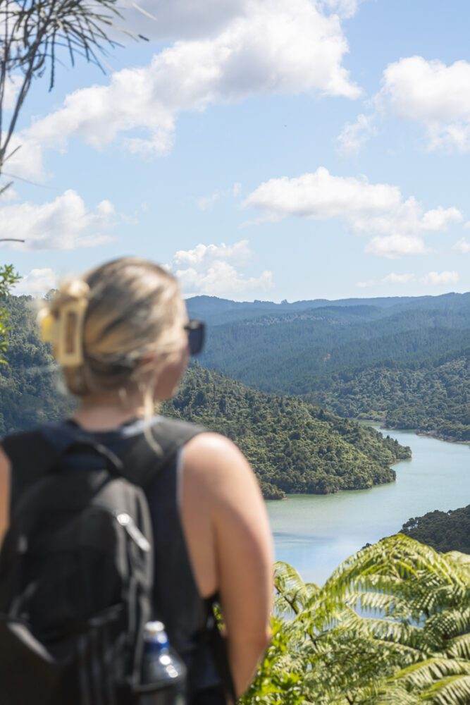 Read more about the article WAIROA LOOP TRACK AND SUSPENSION BRIDGE TRACK