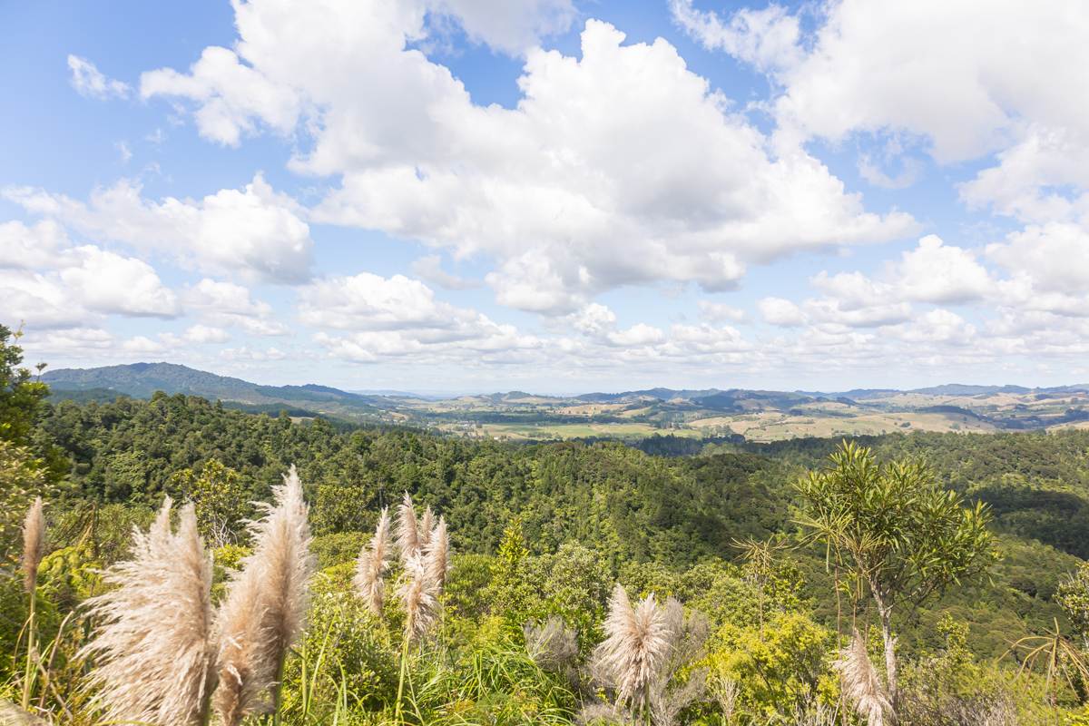 landscape of the hunua ranges and south auckland from Wairoa Loop Track and Suspension Bridge Track