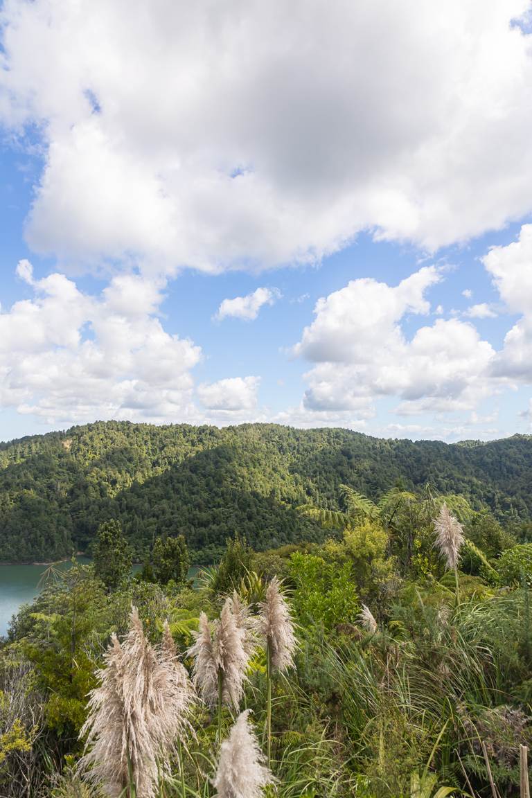 lookout from Wairoa Loop Track and Suspension Bridge Track