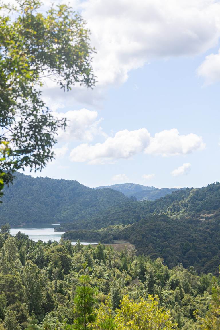 portrait view of the hunua ranges