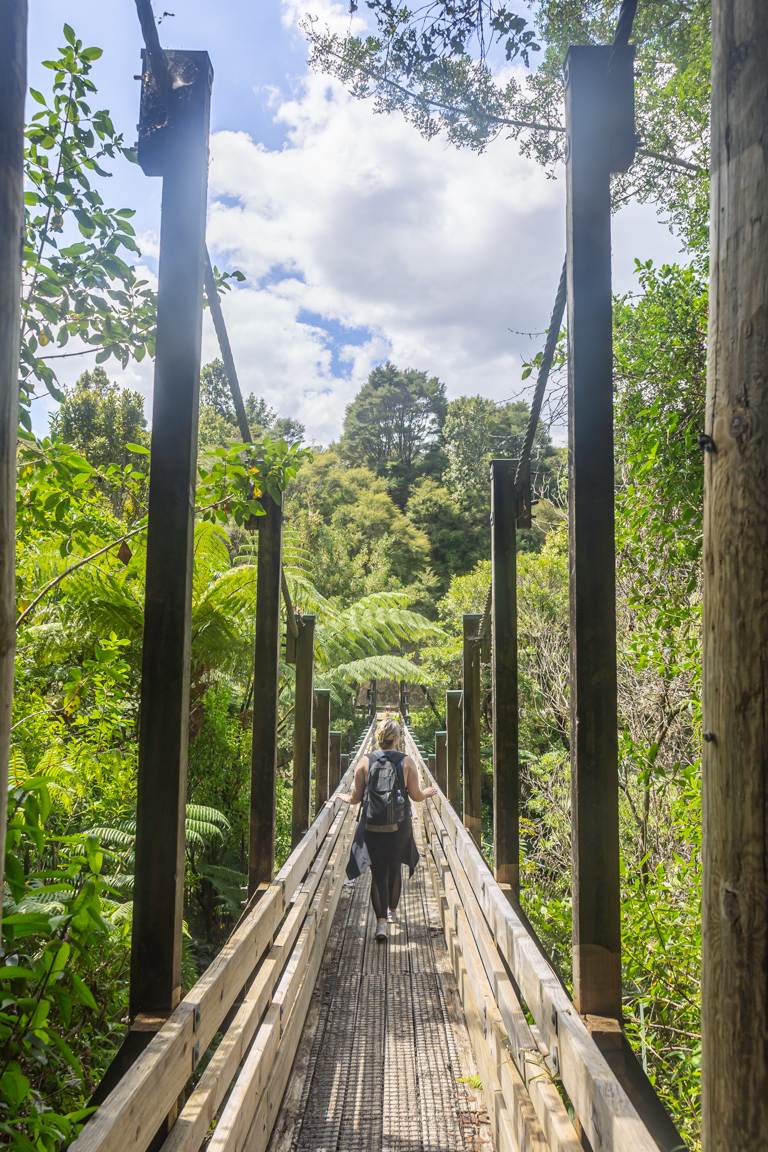 the suspension bridge on the Wairoa Loop Track and Suspension Bridge Track