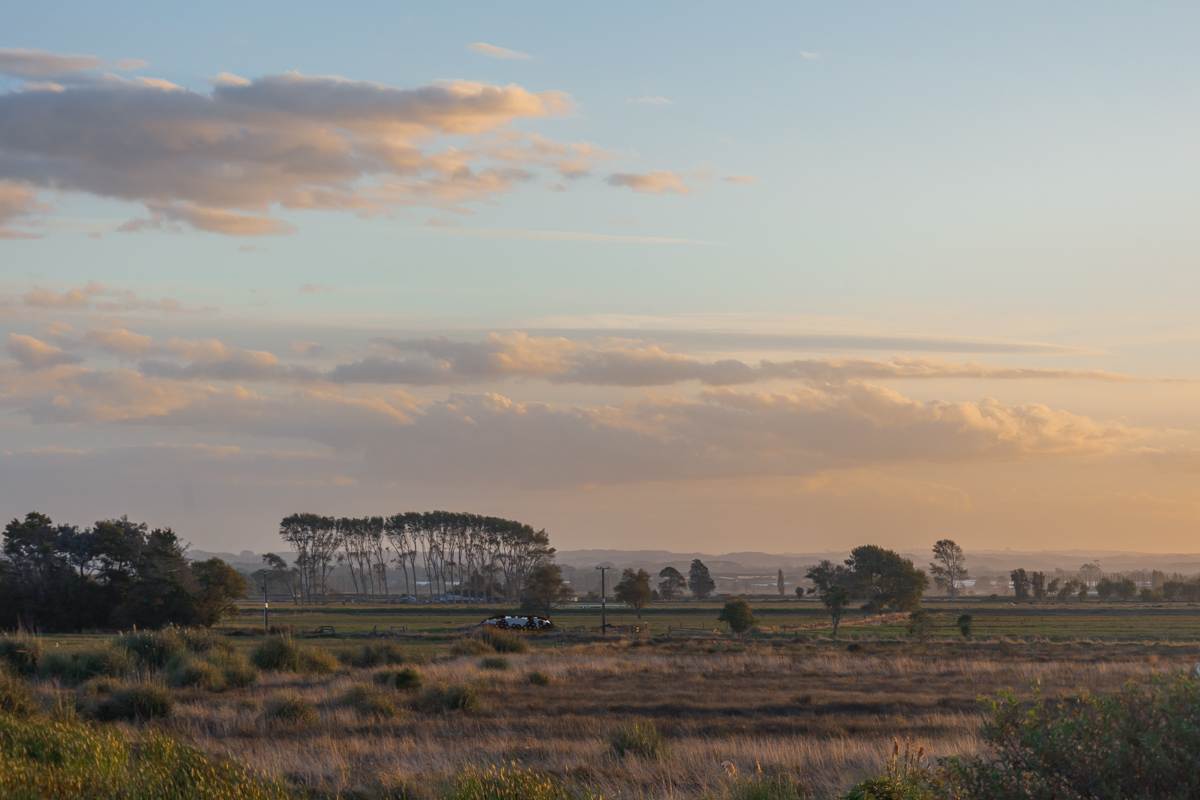 pukekina farmland at sunset