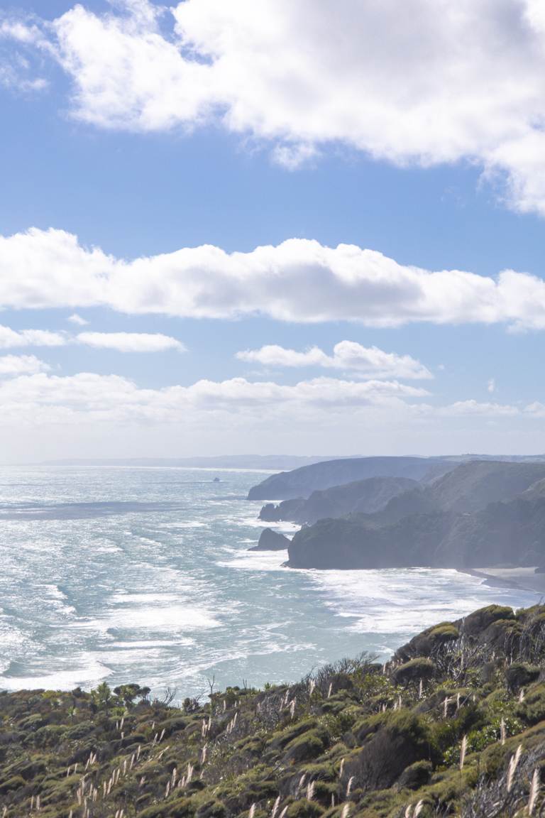 west coastline auckland