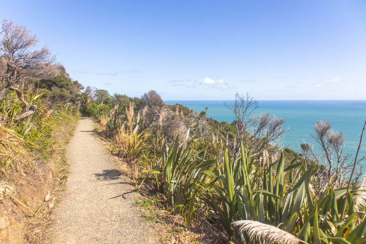 mercer bay loop path