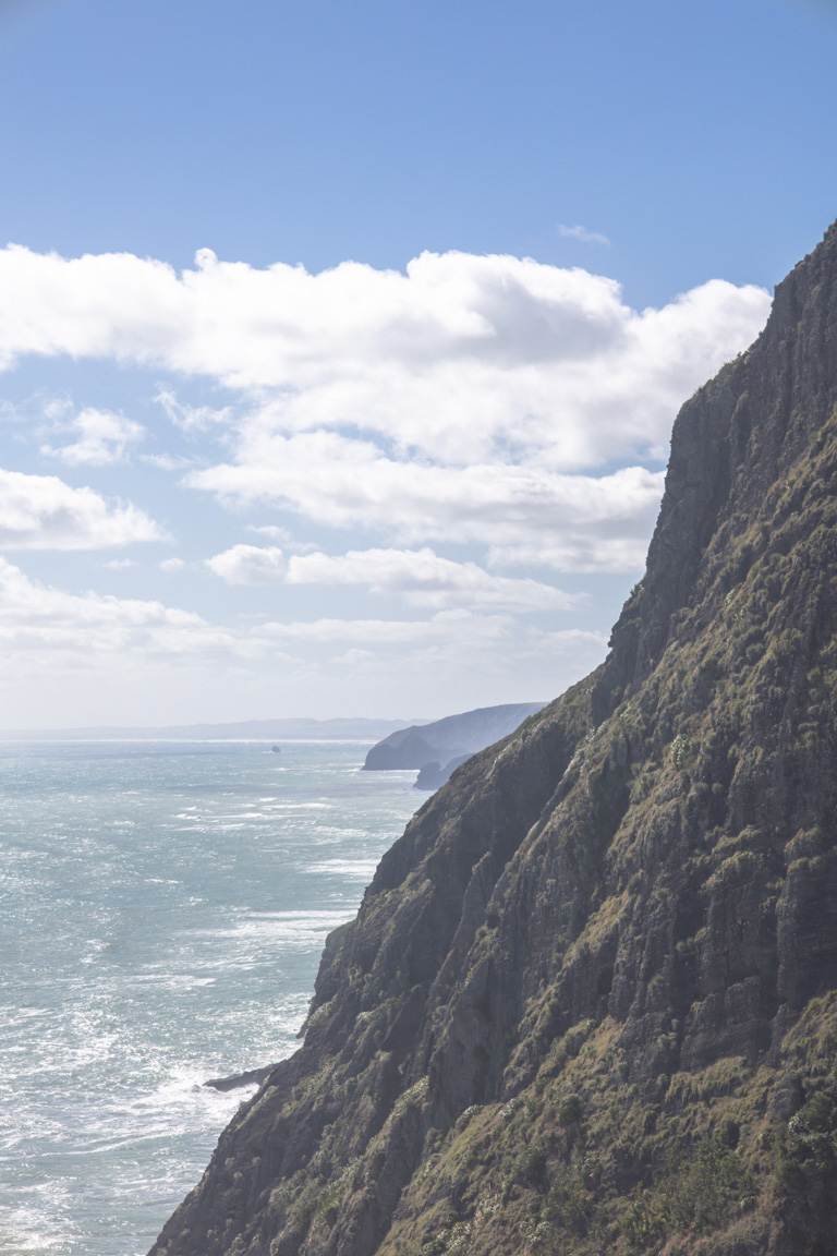 dramatic new zealand cliffs