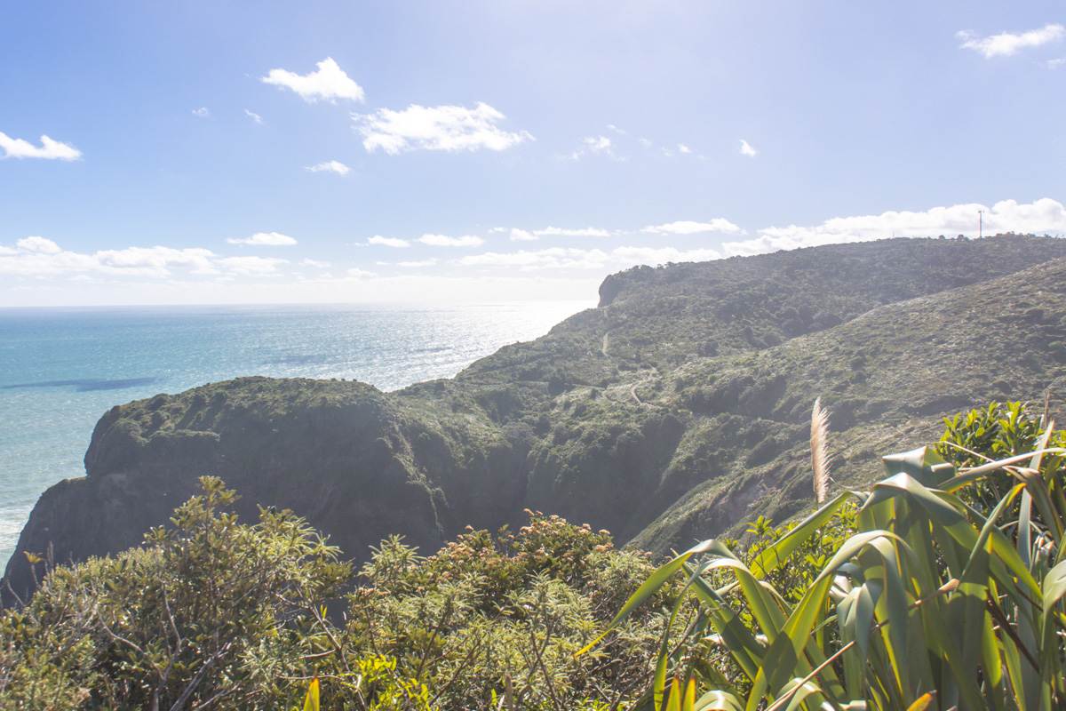 view of mercer bay loop trail