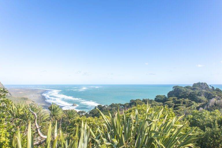 view over Karekare Beach from Comans Track