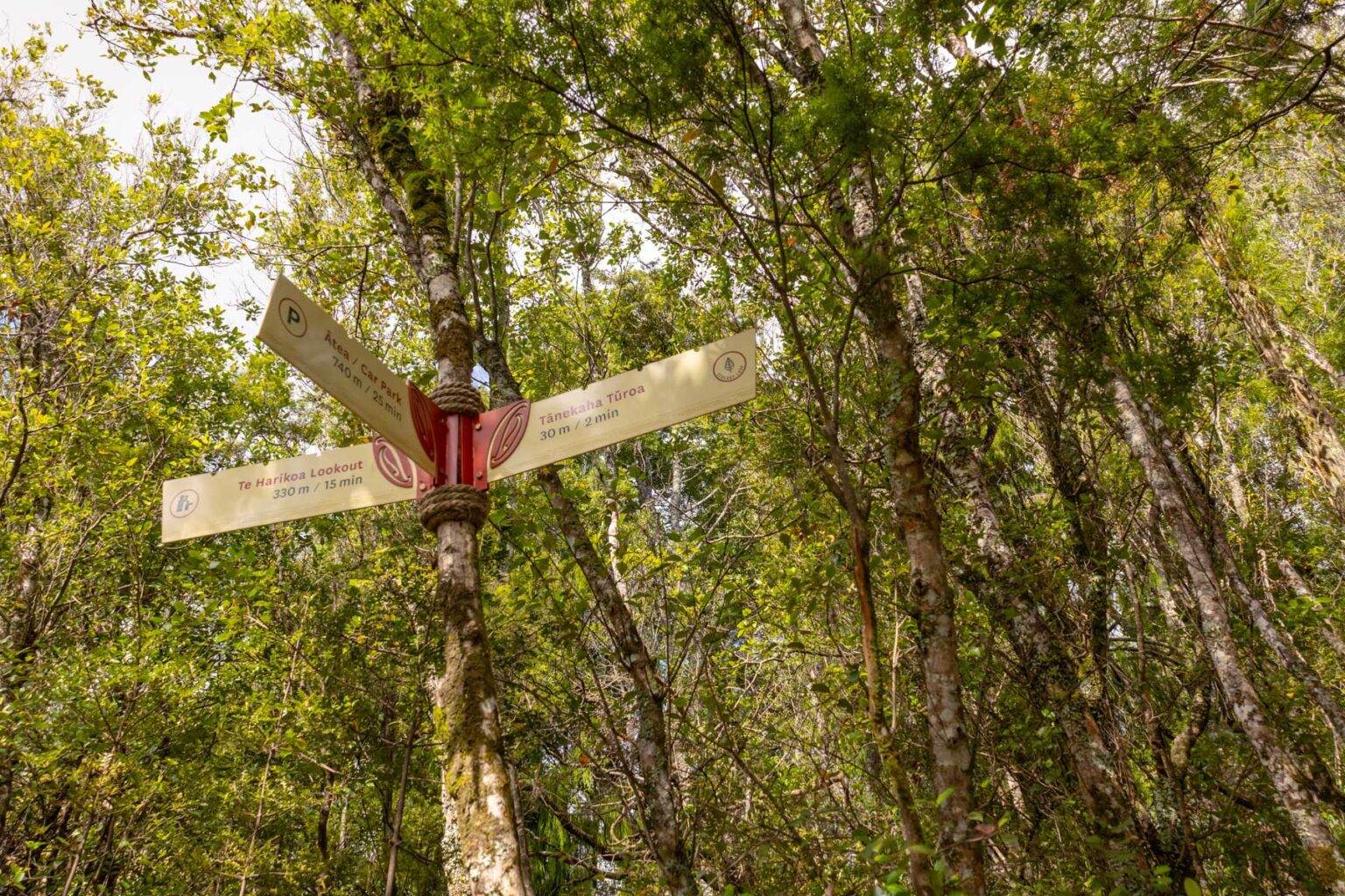 directional sign on trail