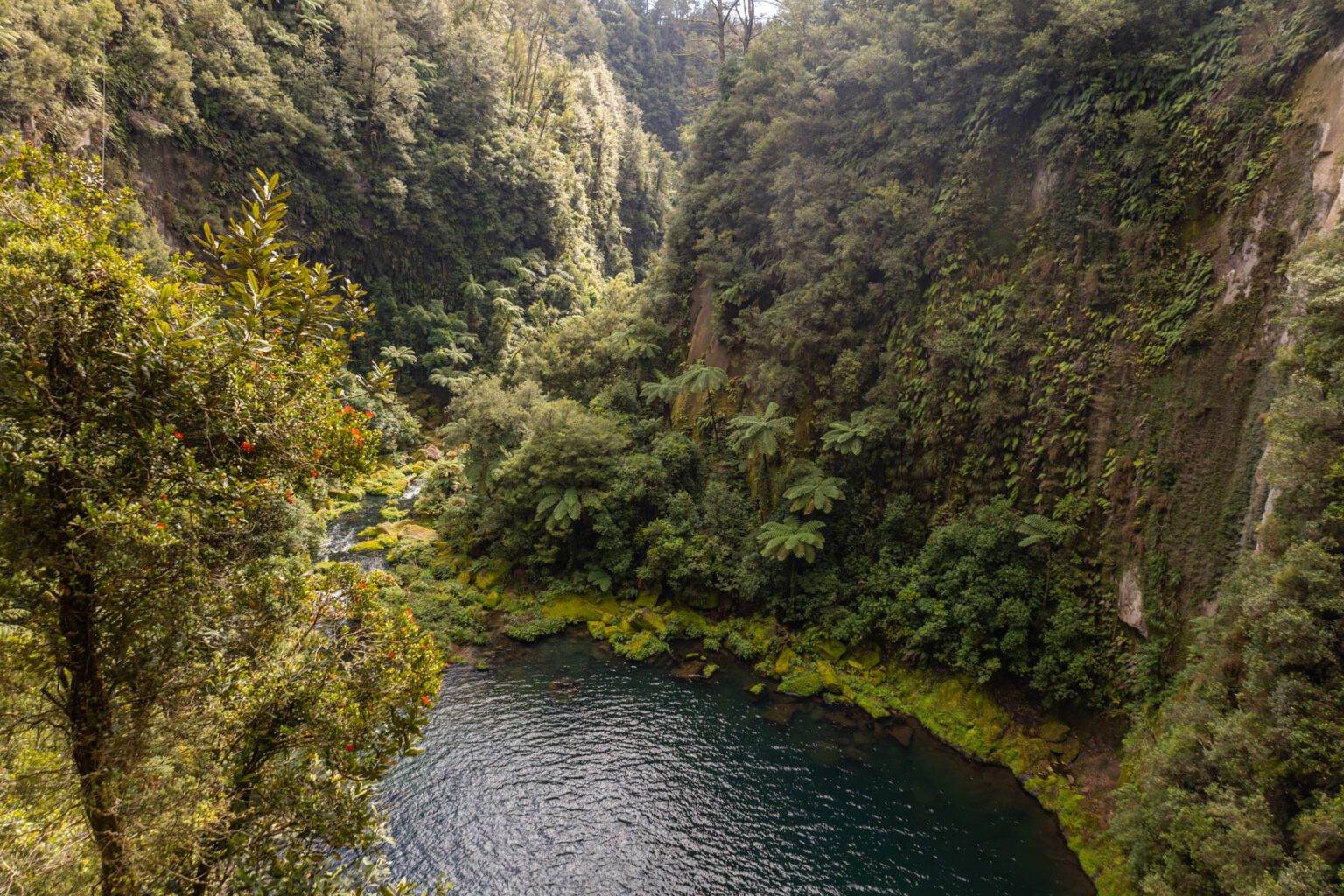 landscape image of Omanawa Falls base