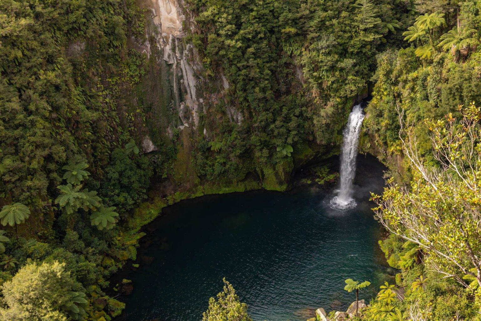 landscape of Omanawa Falls