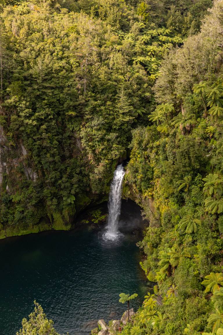 portrait image of Omanawa Falls