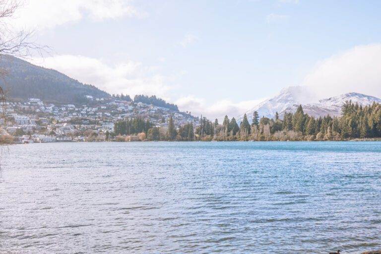 view of queenstown and mountains from saint omer park