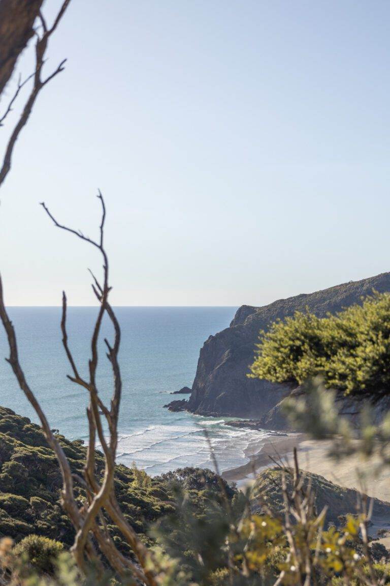 landscape view of anawhata beach when visiting auckland