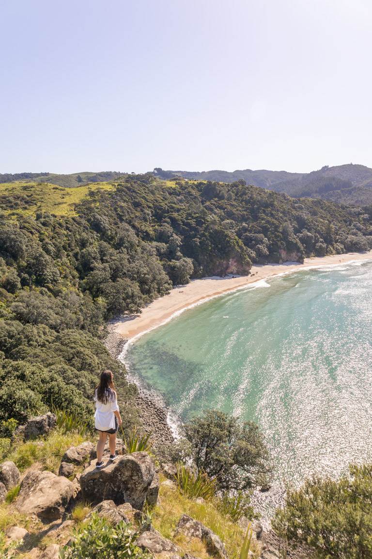 lookout new zealand beach