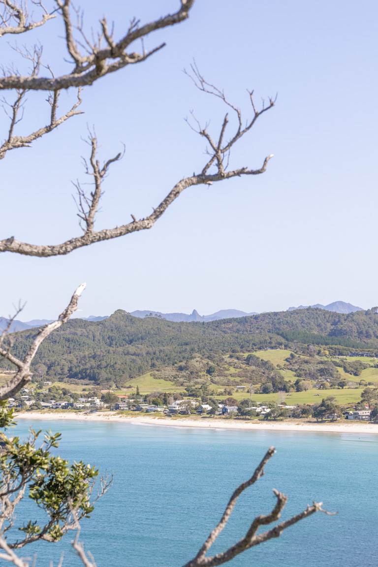 Whangapoua Beach