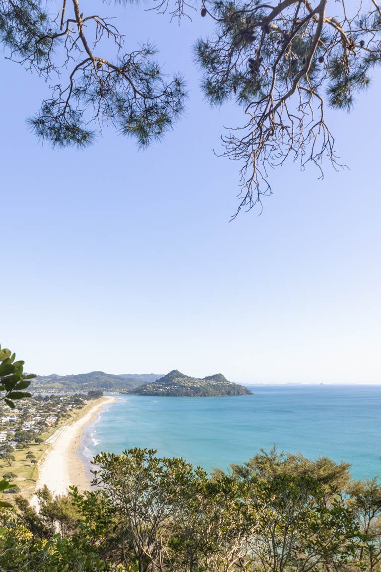 view of Pauanui Beach and Mount Paku