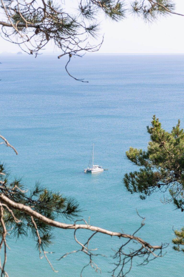 view of boat from coromandel destinations mount pauanui hike