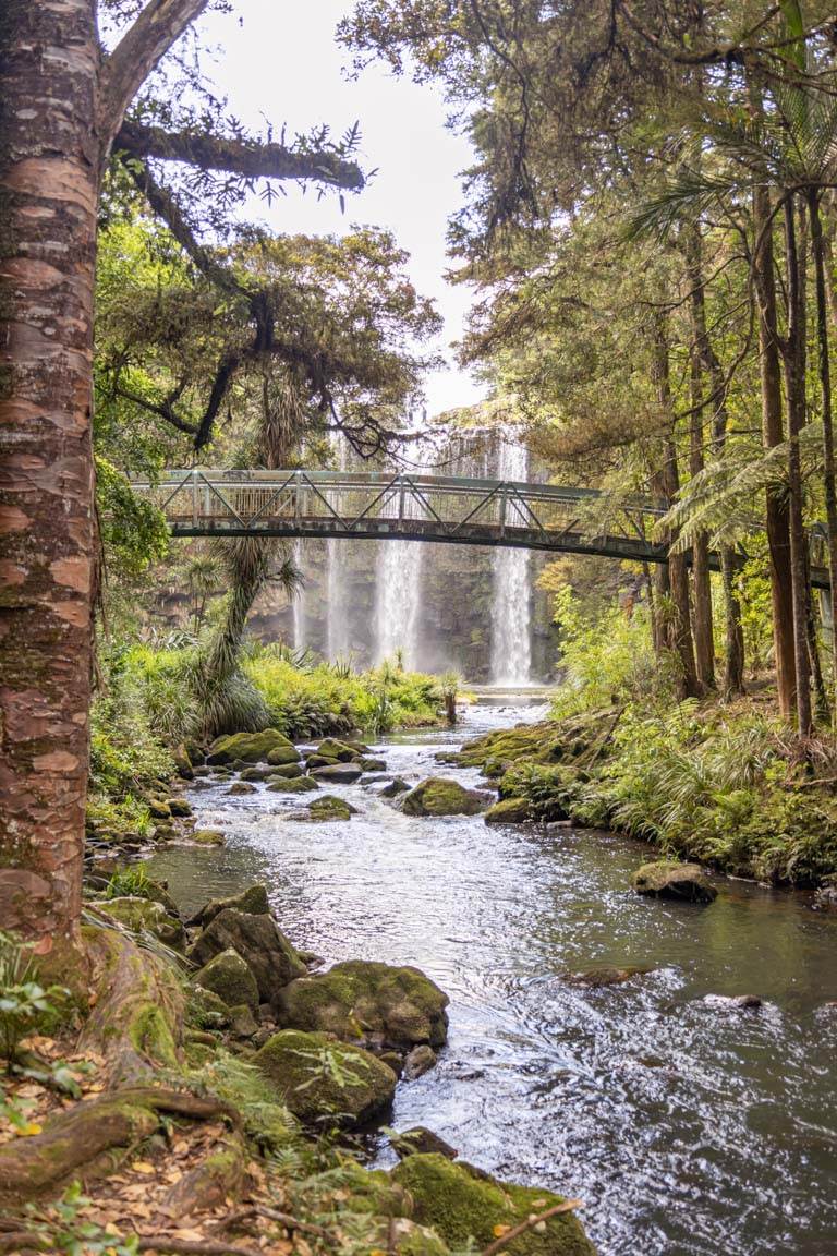 bridge and whangarei falls