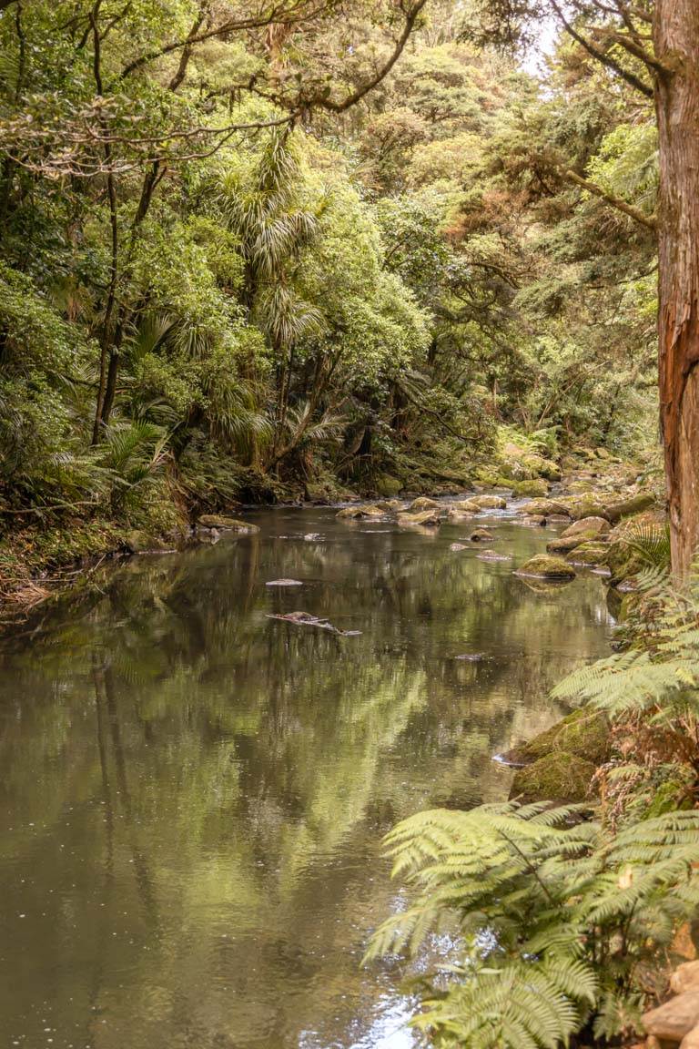 whangarei river