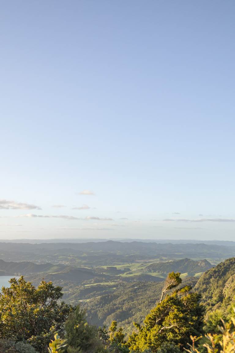 views from Mount Manaia from summit northland hikes