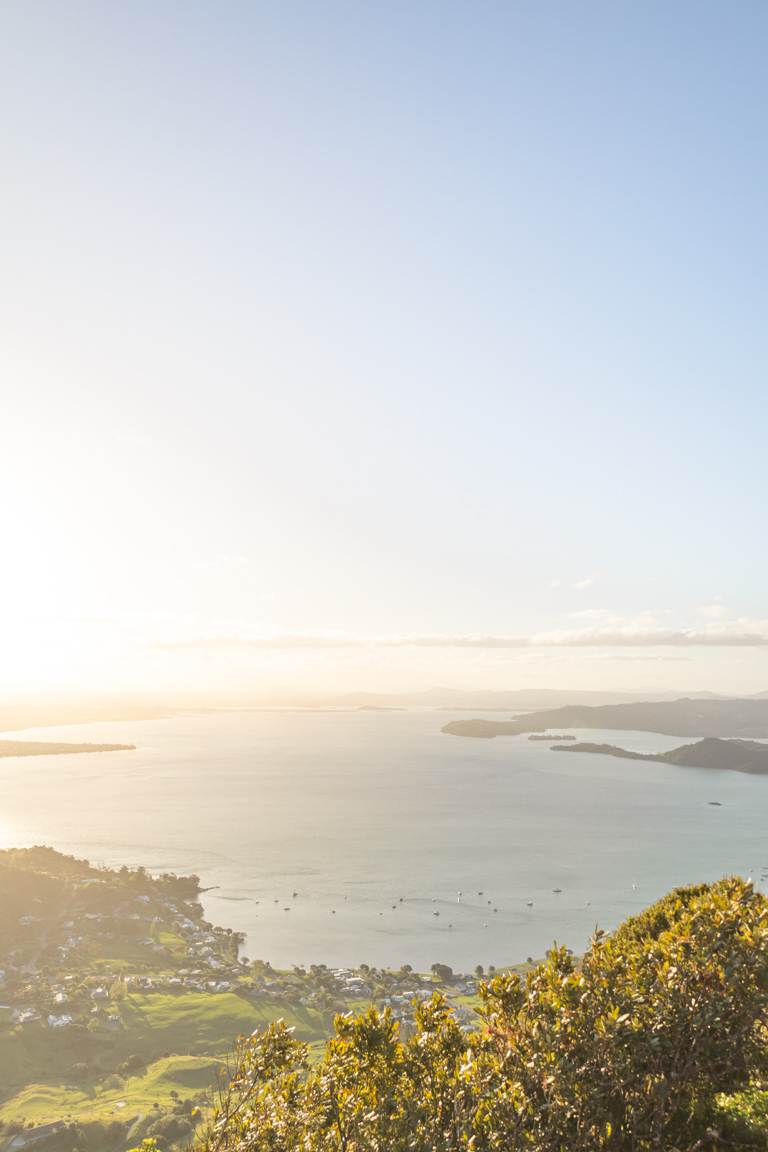 whangārei harbour