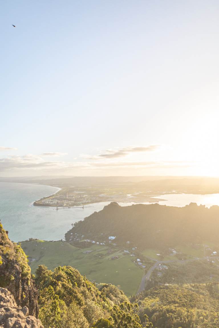 whangārei harbour from mount manaia