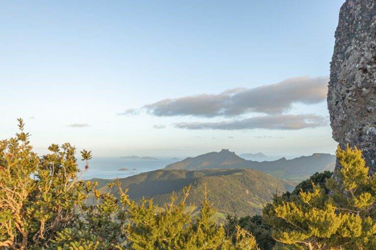 landscape of sunset in whangārei heads