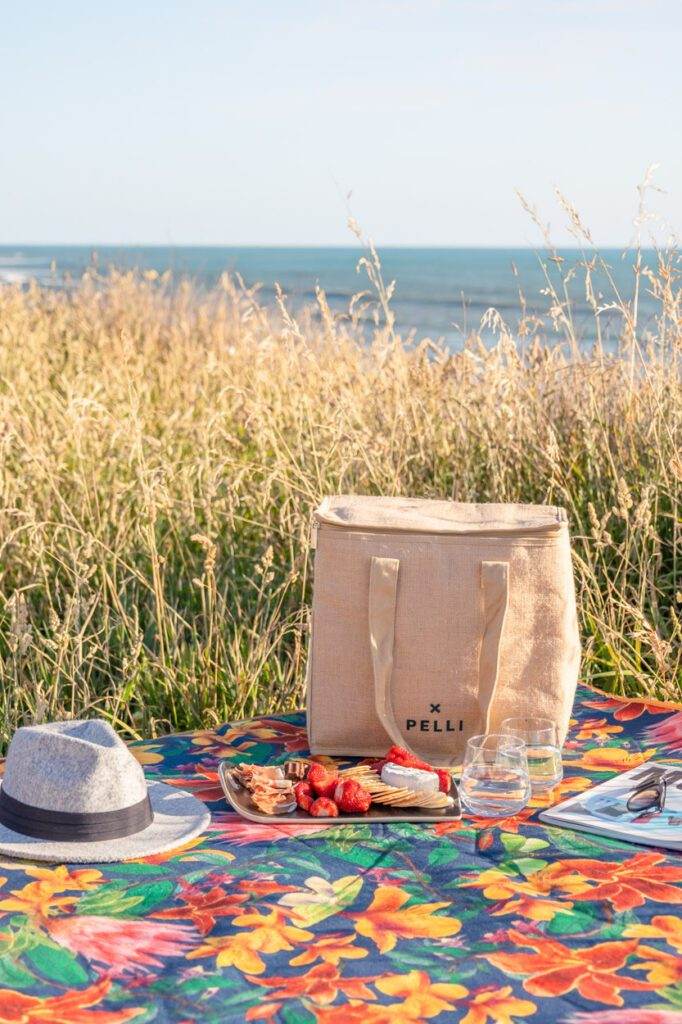 picnic with grass and ocean