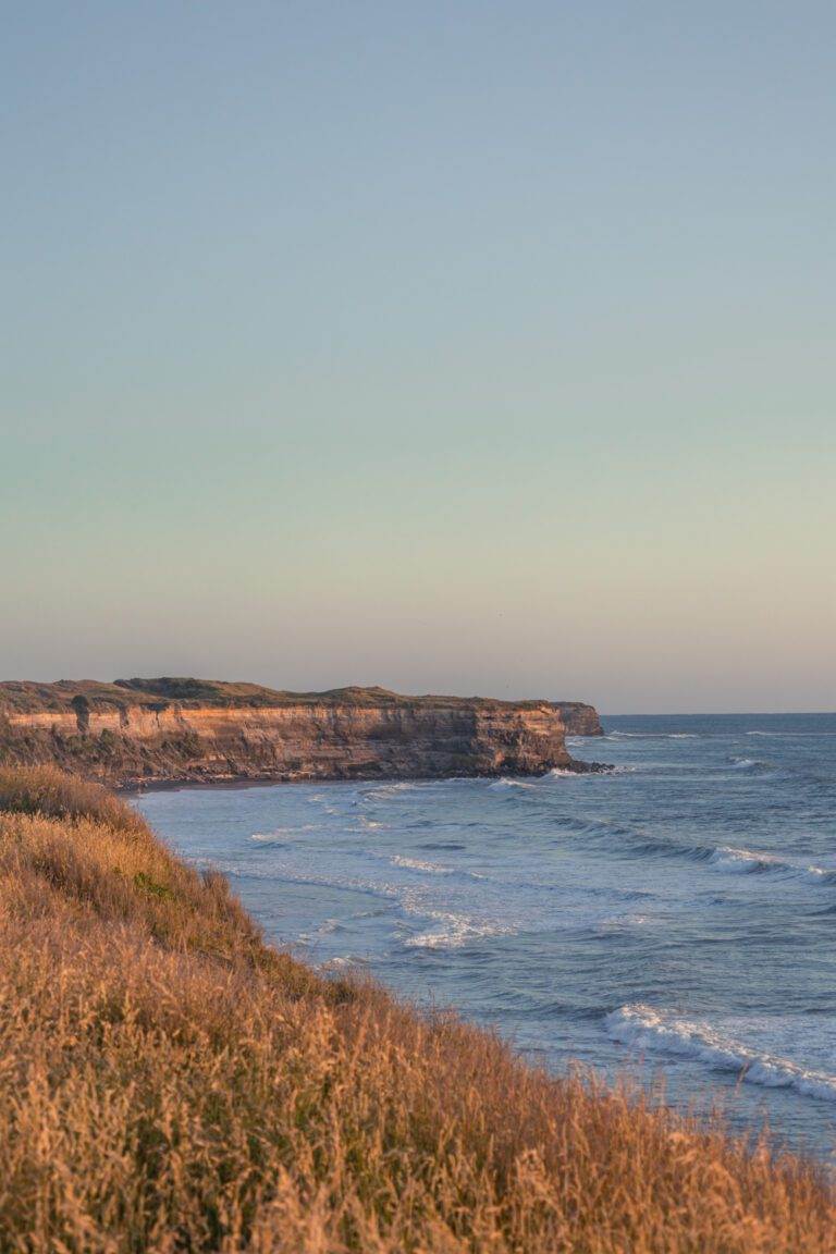 New Zealand landscape photos looking over tasman sea from airbnb in taranaki new zealand