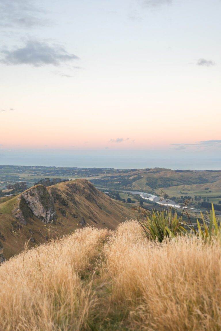 landscape of te mata peak at sunset