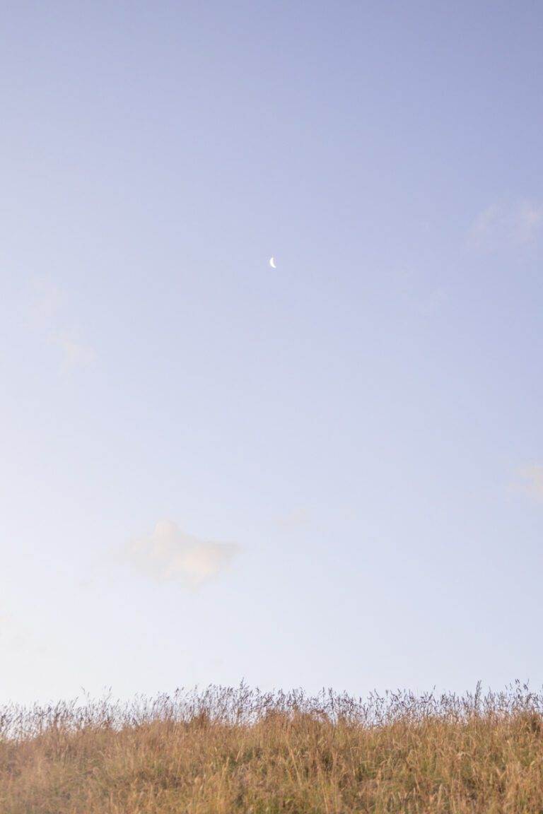 crescent moon from the top of te mata peak