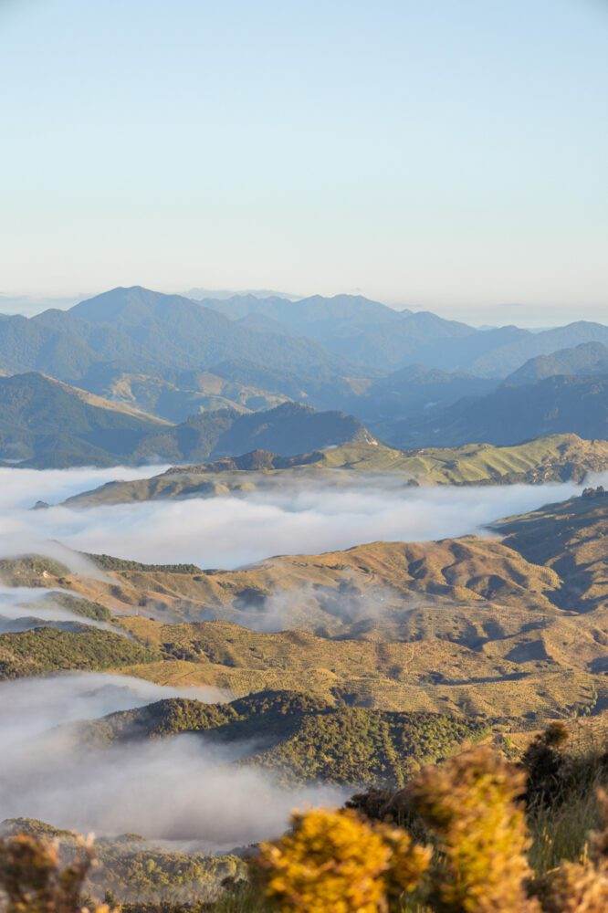 Read more about the article HIKING BELL ROCK, NEW ZEALAND: A GUIDE