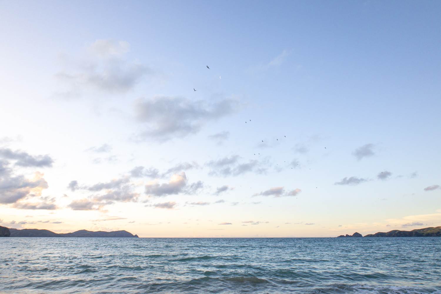 sunset at tauranga bay, northland, new zealand