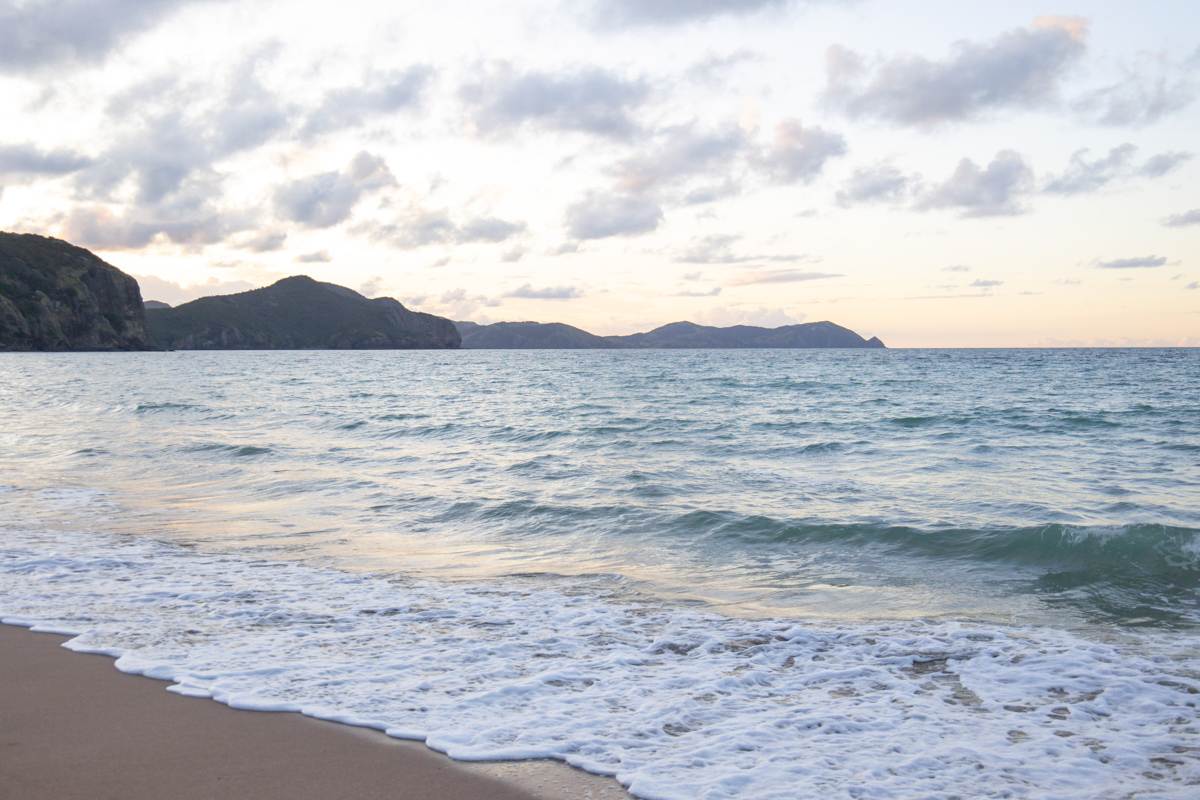 Tauranga Bay in New Zealand landscape