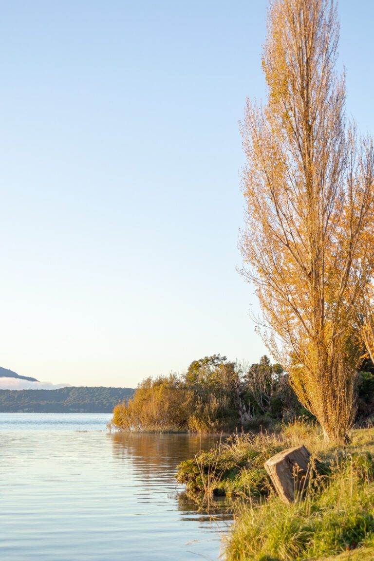 autumn colours at lake tarawera