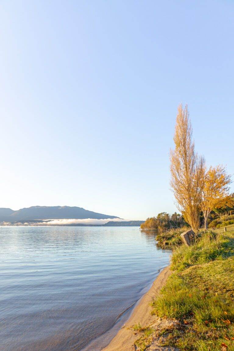 autumn at lake tarawera