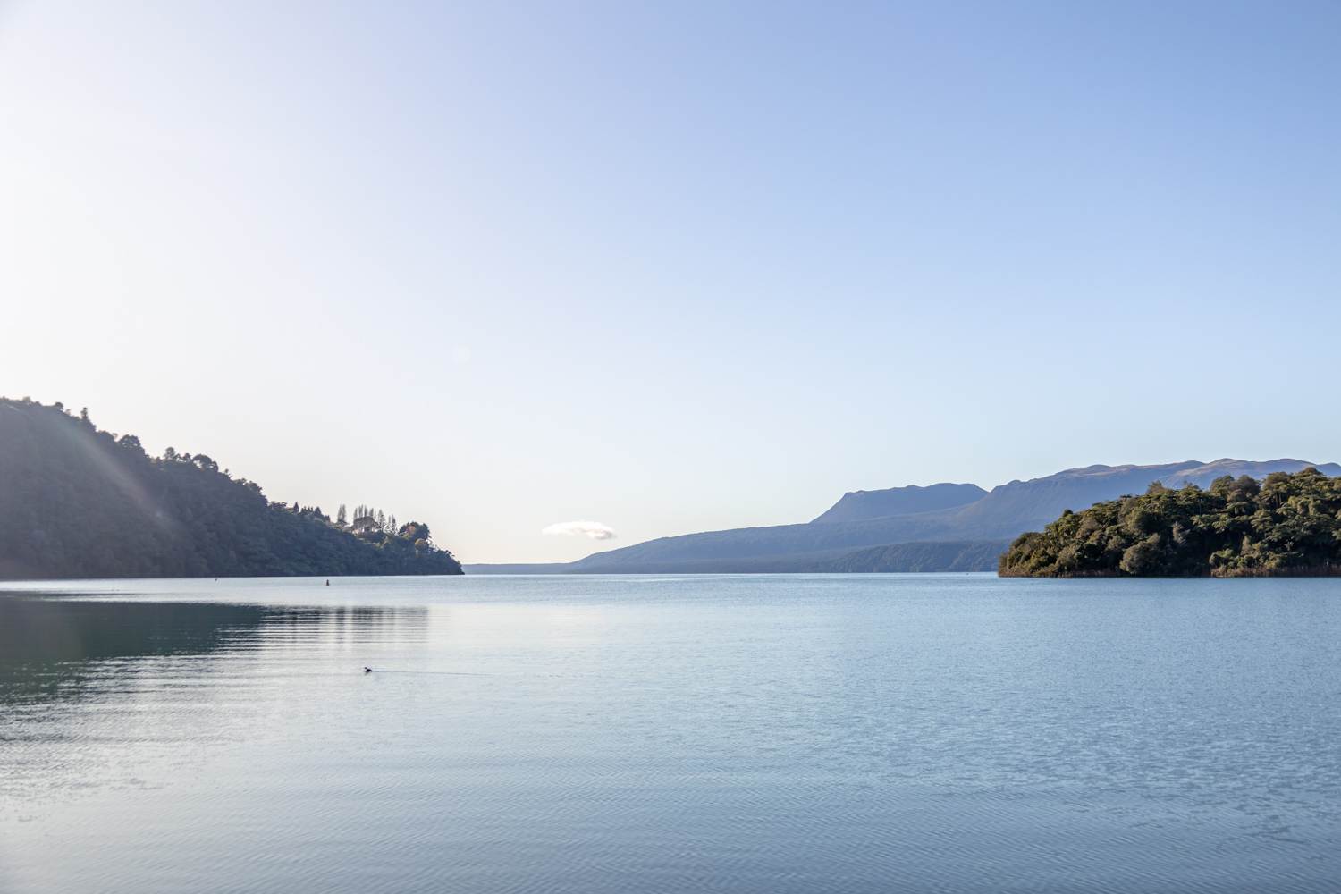 mornings at lake tarawera